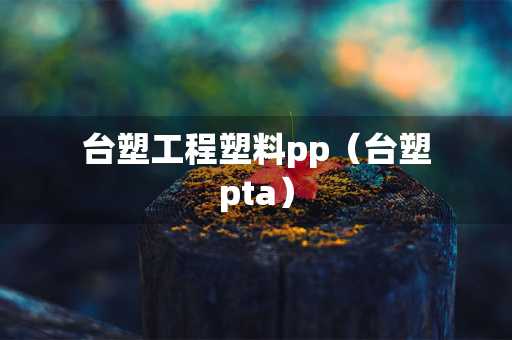 台塑工程塑料pp（台塑pta）